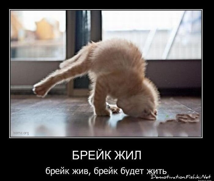 Смешной демотиватор от zubrilov за 02.02.2011 №67207