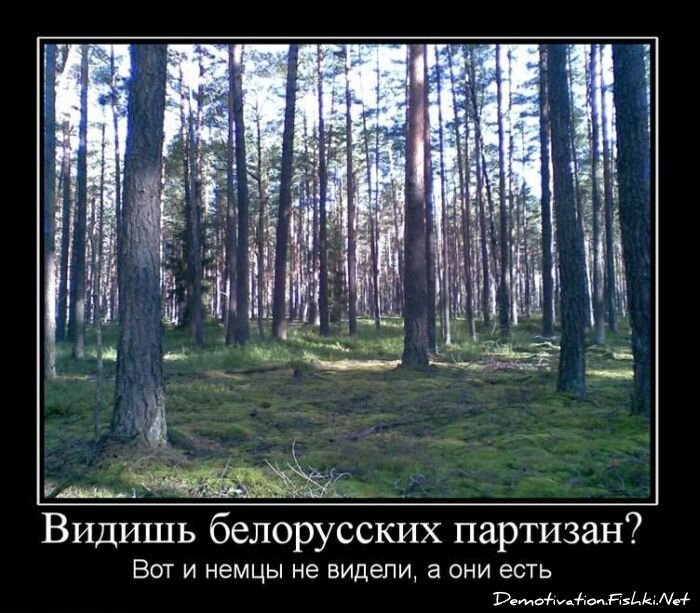 Смешной демотиватор от zubrilov за 02.02.2011 №67208