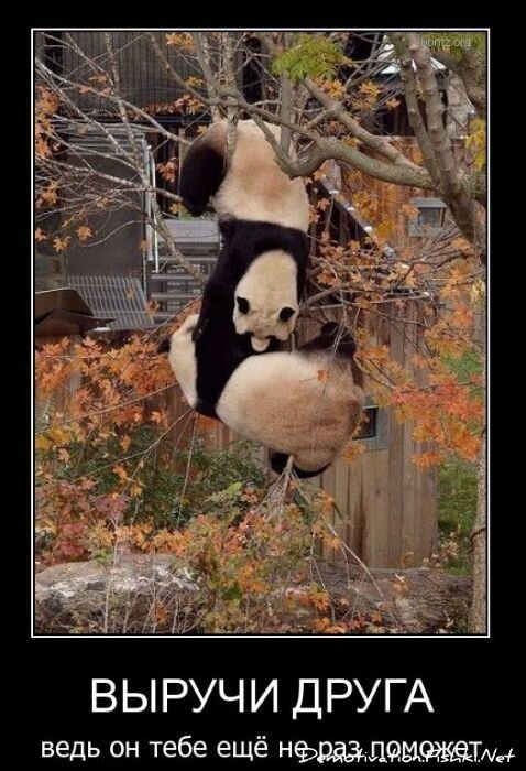 Смешной демотиватор от zubrilov за 04.02.2011 №67384