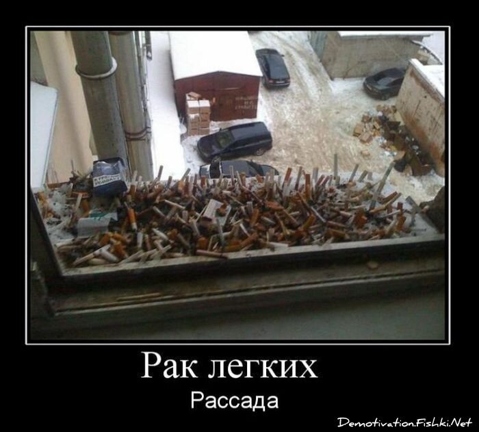 Смешной демотиватор от zubrilov за 04.02.2011 №67386