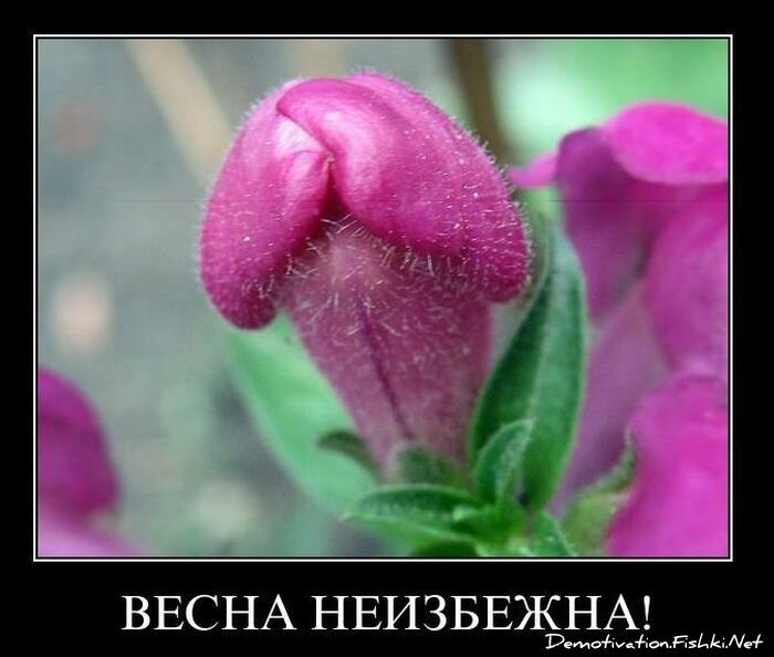 Смешной демотиватор от zubrilov за 04.02.2011 №67390