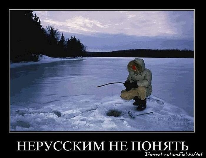 Смешной демотиватор от zubrilov за 04.02.2011 №67398