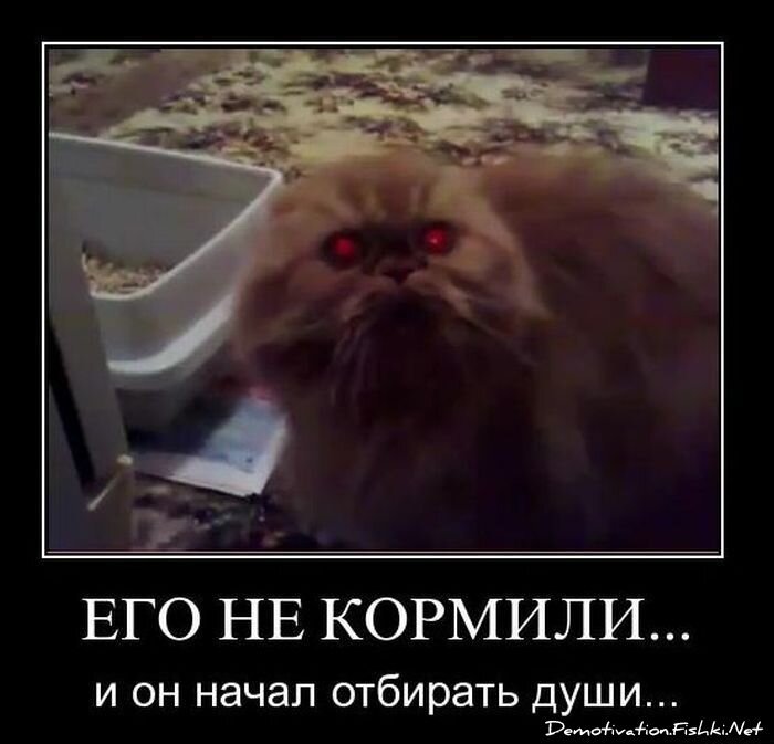 Смешной демотиватор от zubrilov за 04.02.2011 №67406