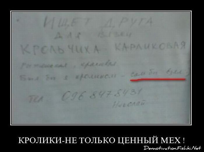 Смешной демотиватор от zubrilov за 04.02.2011 №67408