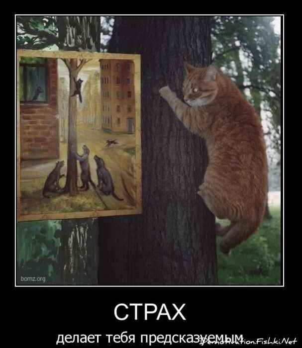 Смешной демотиватор от zubrilov за 04.02.2011 №67418