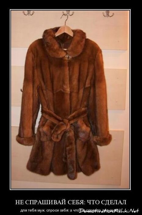 Смешной демотиватор от zubrilov за 04.02.2011 №67419
