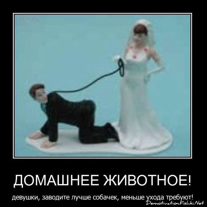 Смешной демотиватор от zubrilov за 04.02.2011 №67426