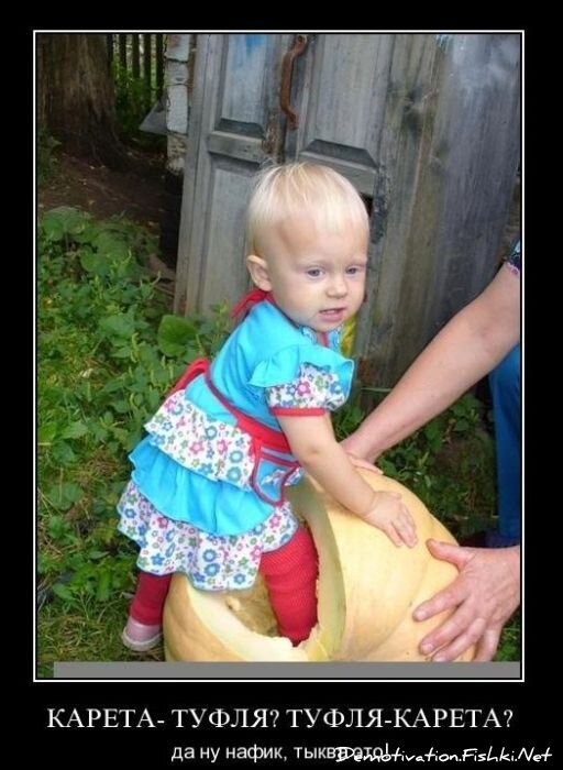 Смешной демотиватор от zubrilov за 04.02.2011 №67439