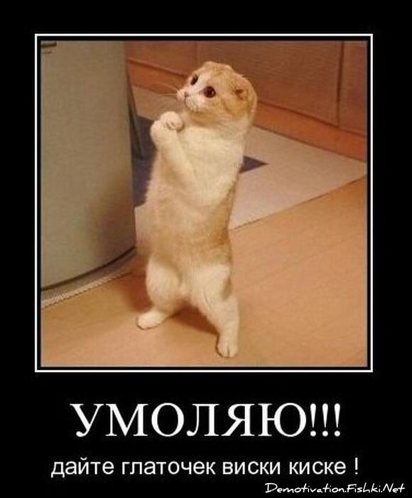Смешной демотиватор от zubrilov за 04.02.2011 №67442