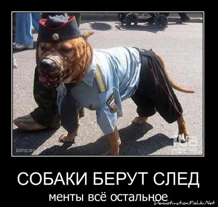Смешной демотиватор от zubrilov за 09.02.2011 №67814