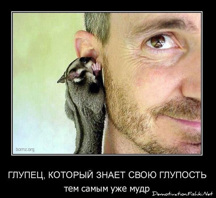 Смешной демотиватор от zubrilov за 09.02.2011 №67815