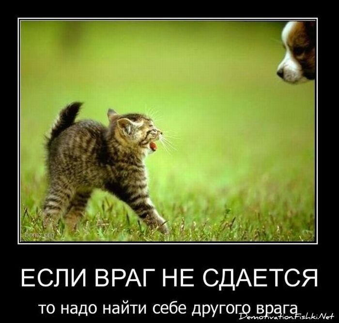 Смешной демотиватор от zubrilov за 09.02.2011 №67818