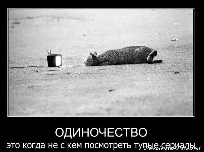 Смешной демотиватор от zubrilov за 09.02.2011 №67819