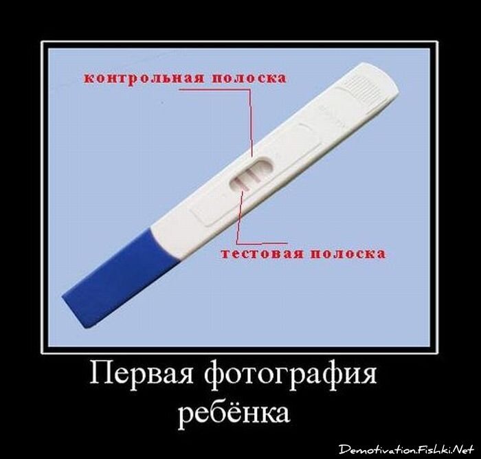 Смешной демотиватор от zubrilov за 09.02.2011 №67820