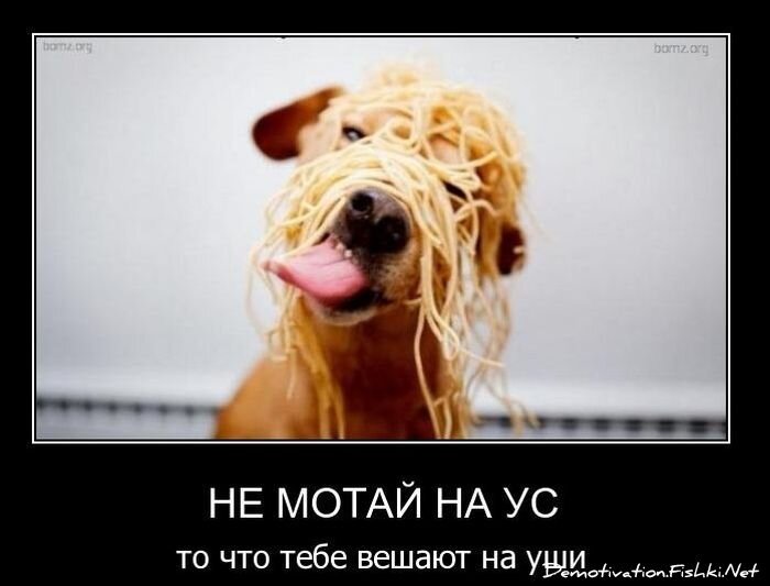 Смешной демотиватор от zubrilov за 09.02.2011 №67822