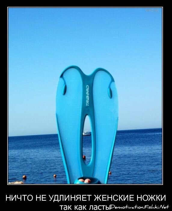 Смешной демотиватор от zubrilov за 09.02.2011 №67826