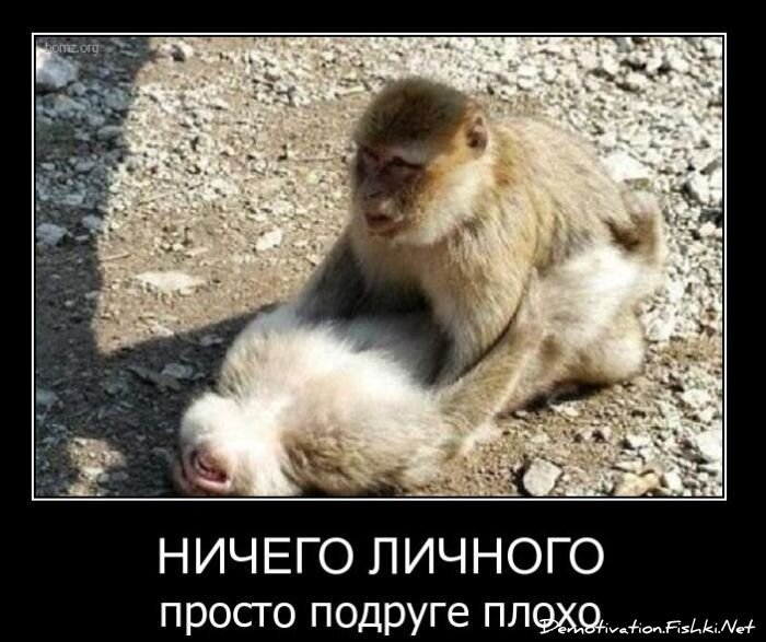 Смешной демотиватор от zubrilov за 09.02.2011 №67832