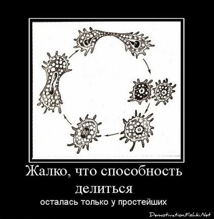 Смешной демотиватор от zubrilov за 09.02.2011 №67837