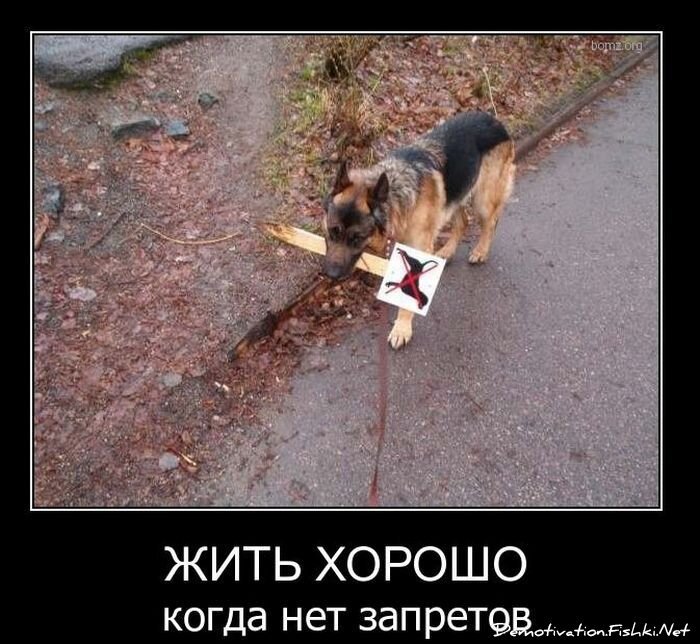 Смешной демотиватор от zubrilov за 09.02.2011 №67840