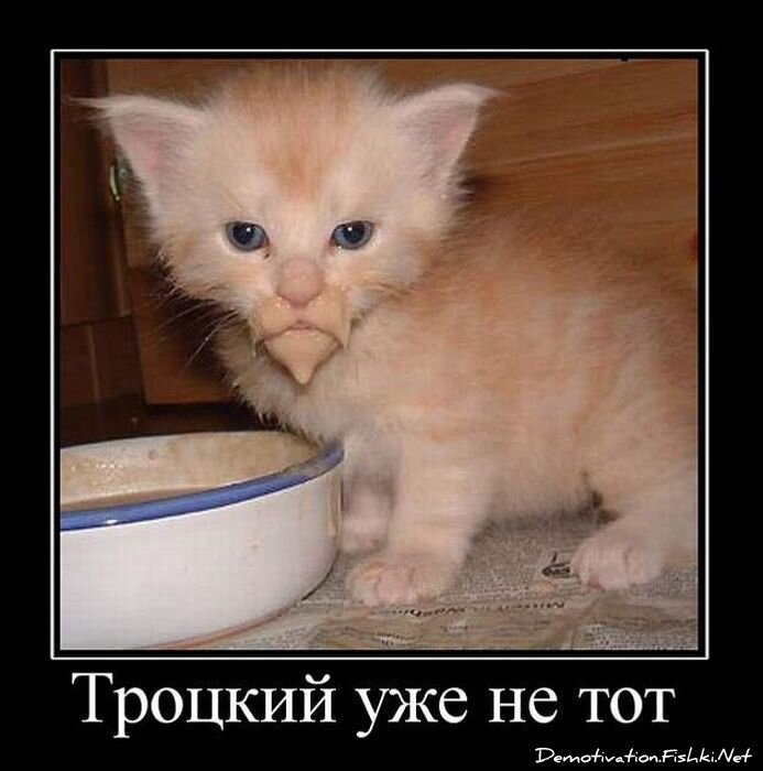 Смешной демотиватор от zubrilov за 09.02.2011 №67845