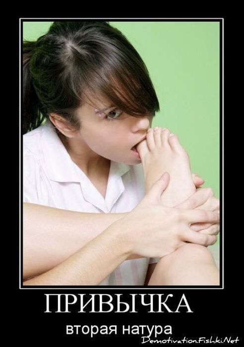 Смешной демотиватор от zubrilov за 09.02.2011 №67848