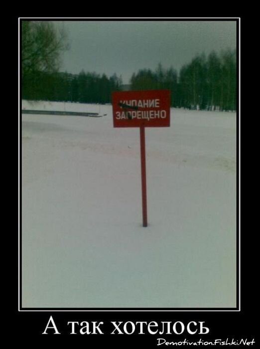 Смешной демотиватор от zubrilov за 09.02.2011 №67850