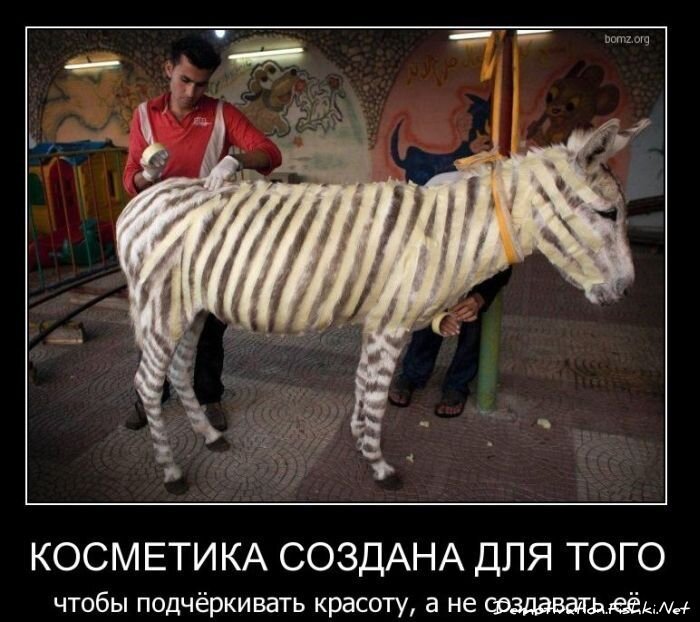 Смешной демотиватор от zubrilov за 09.02.2011 №67856