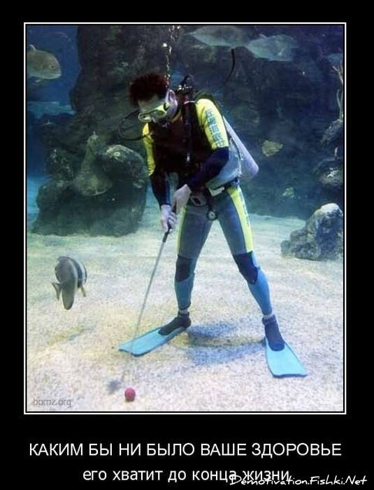 Смешной демотиватор от zubrilov за 09.02.2011 №67860