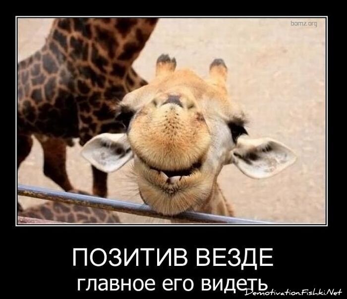 Смешной демотиватор от zubrilov за 09.02.2011 №67865