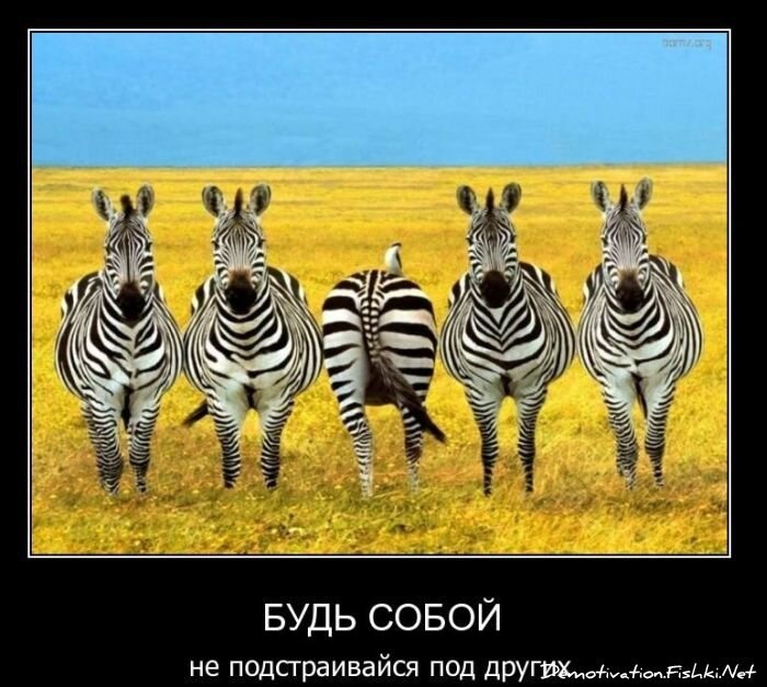 Смешной демотиватор от zubrilov за 09.02.2011 №67868