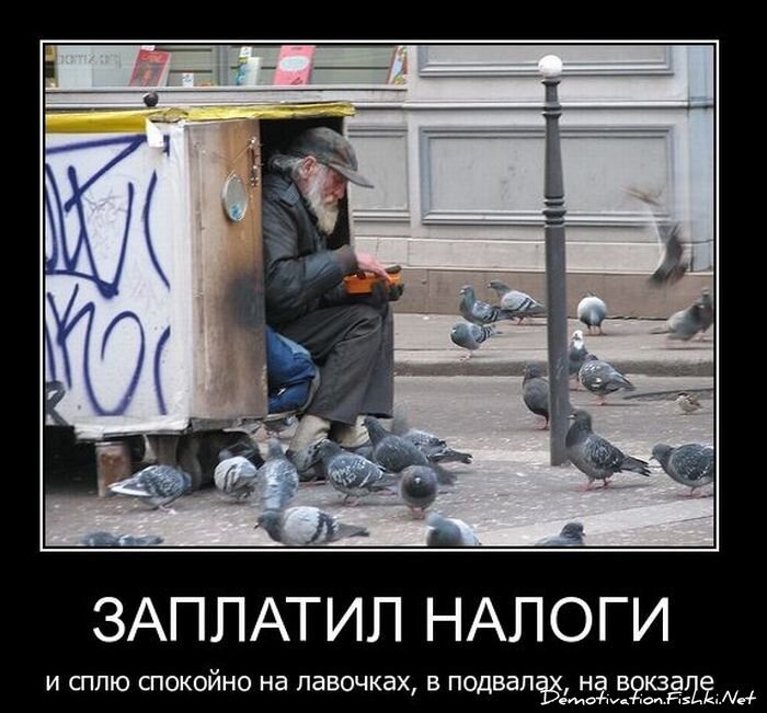 Смешной демотиватор от zubrilov за 09.02.2011 №67877