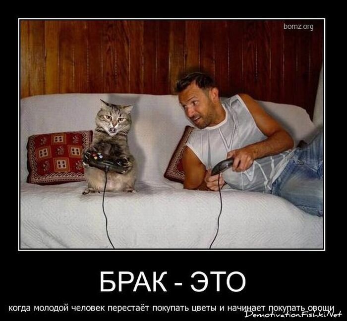 Смешной демотиватор от zubrilov за 09.02.2011 №67879