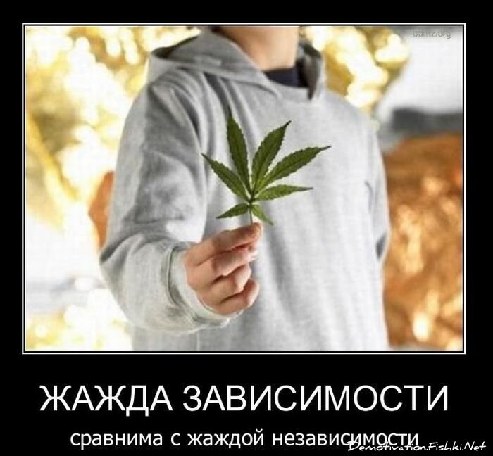 Смешной демотиватор от zubrilov за 09.02.2011 №67880