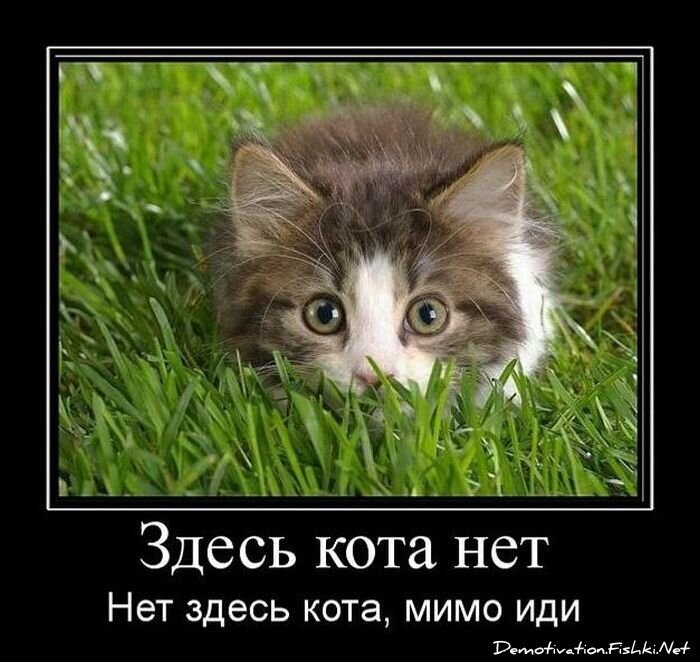 Смешной демотиватор от zubrilov за 09.02.2011 №67884