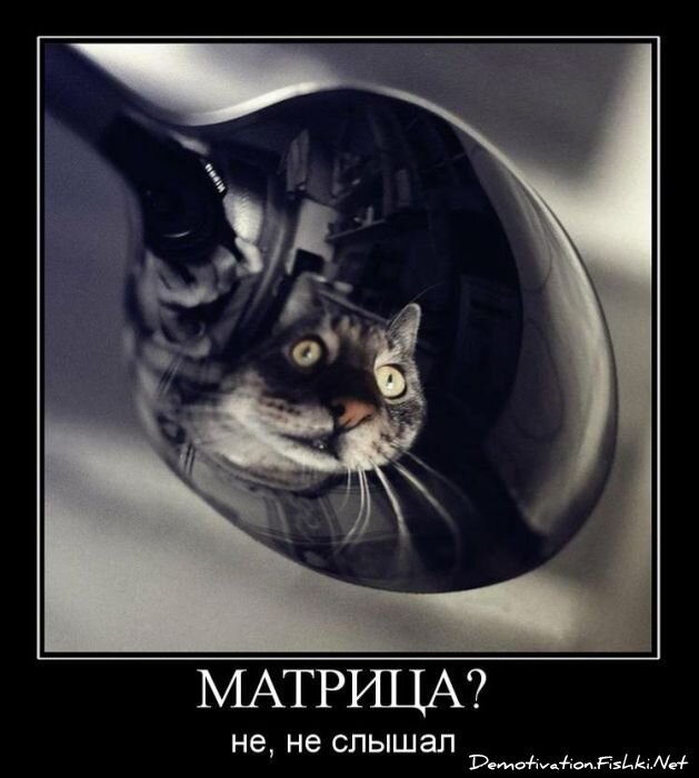Смешной демотиватор от zubrilov за 09.02.2011 №67894