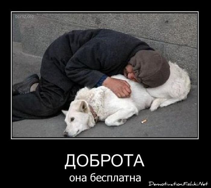 Смешной демотиватор от zubrilov за 09.02.2011 №67895