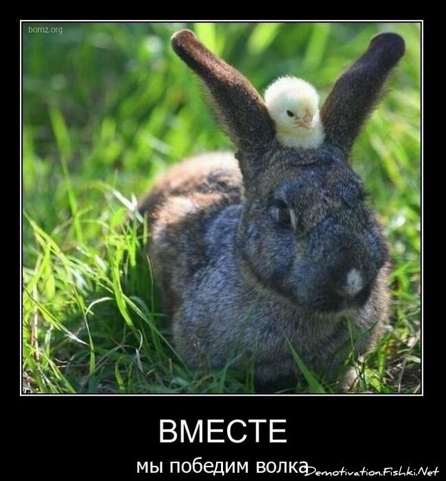 Смешной демотиватор от zubrilov за 09.02.2011 №67901