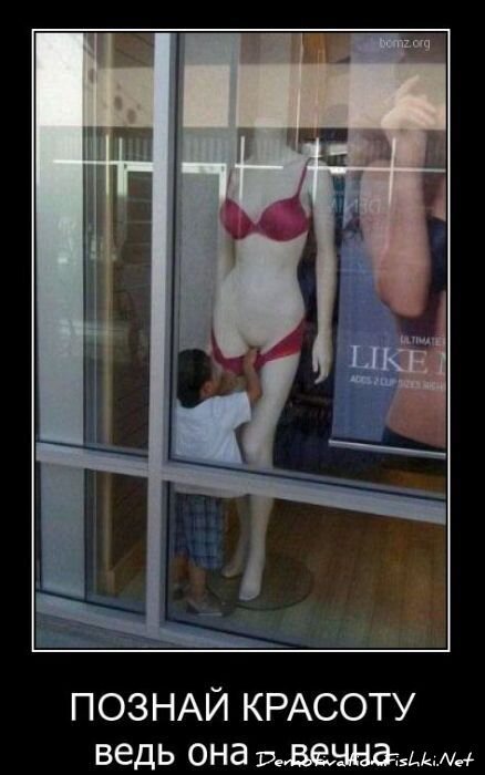 Смешной демотиватор от zubrilov за 09.02.2011 №67904