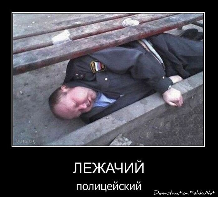 Смешной демотиватор от zubrilov за 09.02.2011 №67907