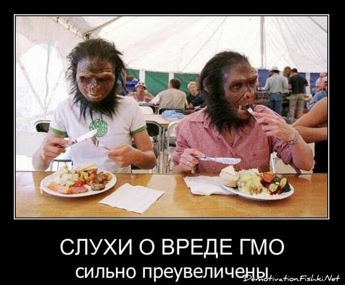 Смешной демотиватор от zubrilov за 09.02.2011 №67910