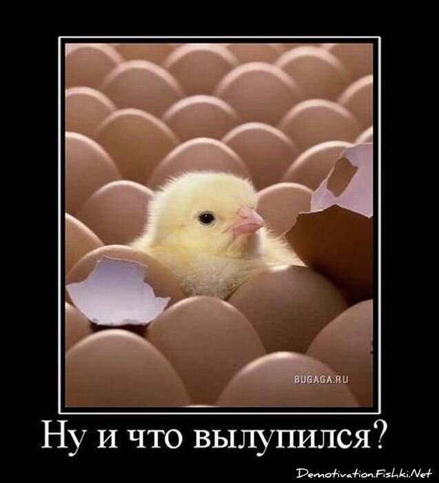 Демотиватор