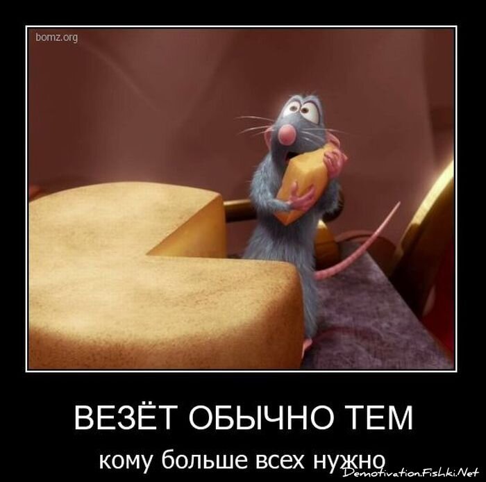 Смешной демотиватор от zubrilov за 09.02.2011 №67915