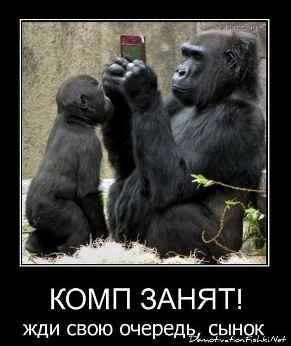 Демотиватор