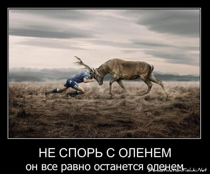 Смешной демотиватор от zubrilov за 09.02.2011 №67919