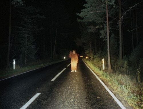 Прикольные фото и картинки от zubrilov за 09.02.2011 №68031