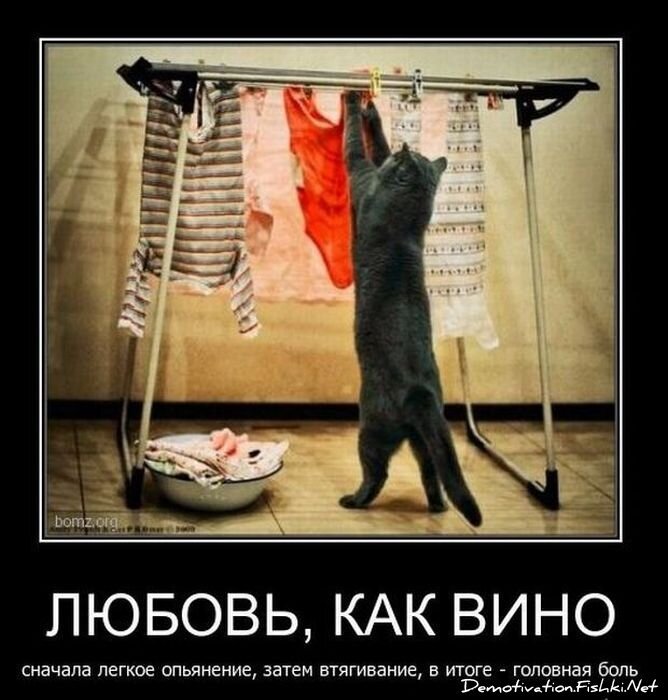 Демотиватор