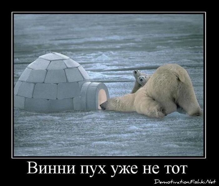 Смешной демотиватор от zubrilov за 11.02.2011 №68254