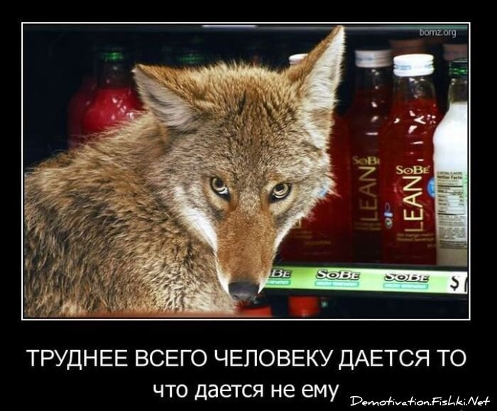 Смешной демотиватор от zubrilov за 11.02.2011 №68269