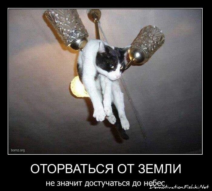 Смешной демотиватор от zubrilov за 11.02.2011 №68285