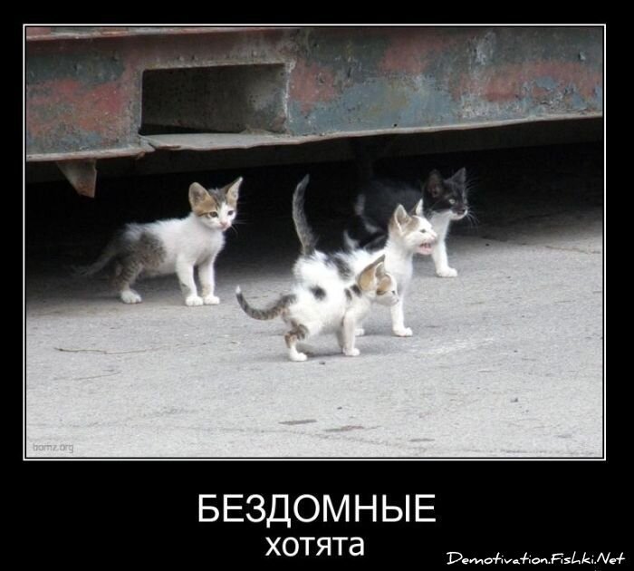 Смешной демотиватор от zubrilov за 11.02.2011 №68286